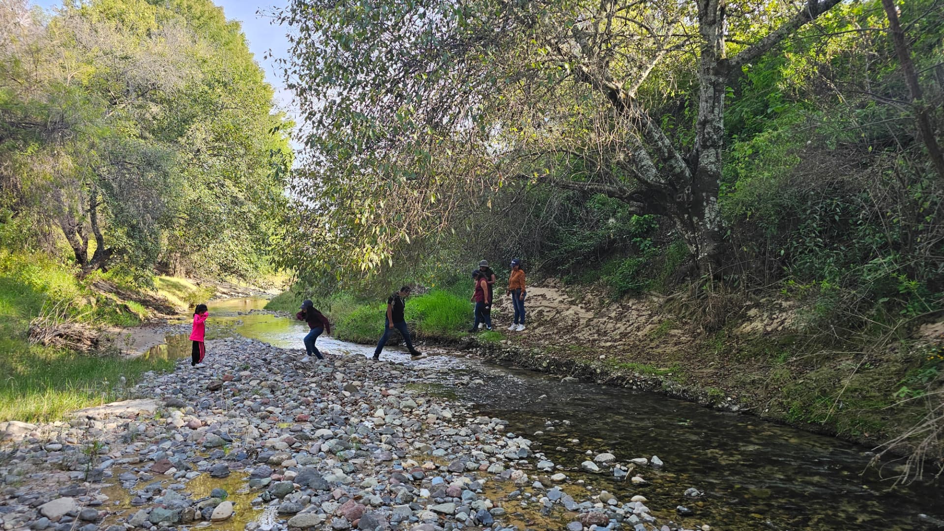 Visitantes cruzando el arroyo rodeado de vegetación